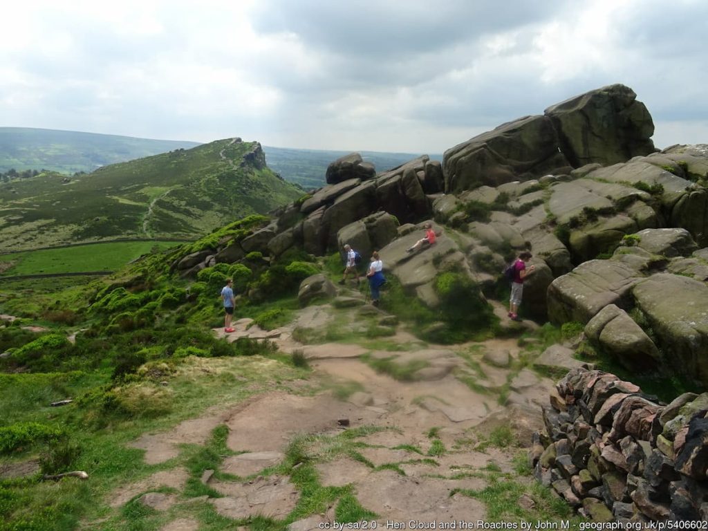 the roaches near leek